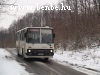 A regular bus service arrives at Vinye