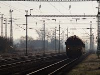 M41 (MÁV)