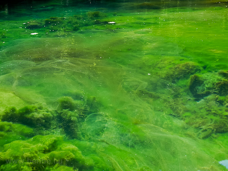 A Boszna folyó forrása, a V fotó