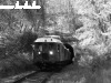 The historic BC mot DMU at the Becske tunnel