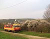 Bzmot 342 near Galgagyörk