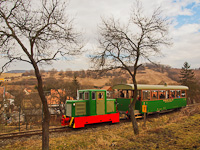 A Nagybörzsönyi Erdei Vasút C50 3756 pályaszámú kismozdonya a Királyréti Erdei Vasúton a paphegyi felújítása alkalmából rendezett fotósvonaton Hártókút és Szokolya-Mányoki között