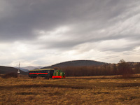 A Nagybörzsönyi Erdei Vasút C50 3756 pályaszámú kismozdonya a Királyréti Erdei Vasúton a paphegyi felújítása alkalmából rendezett fotósvonaton Paphegy és Szokolya-Riezner között