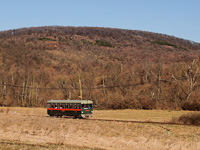 A Királyréti Erdei Vasút M06-401 pályaszámú "Tóbi" motorkocsija Szokolya-Riezner és Paphegy között