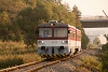 A ZSSK 813 032-0 Bicsefalu és Litvailló között