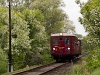 The ČSD M131.1125 <q>Hurvínek</q> railcar between Ludányhalászi and Szécsény in the flowery forest