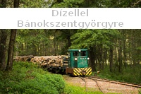 With a Diesel to Bánokszentgyörgy