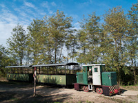 A Mesztegnyői Erdei Vasút C50-ese által vontatott szerelvény a kisvasúton