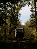 The C50 of the Mesztegnyő Forest Railway somewhere along the line
