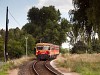 The MÁV-START 117 290 seen between Raposka and Tapolca