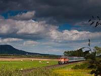 The MÁV-START 628 305 seen between Nemesgulács-Kisapáti and Tapolca