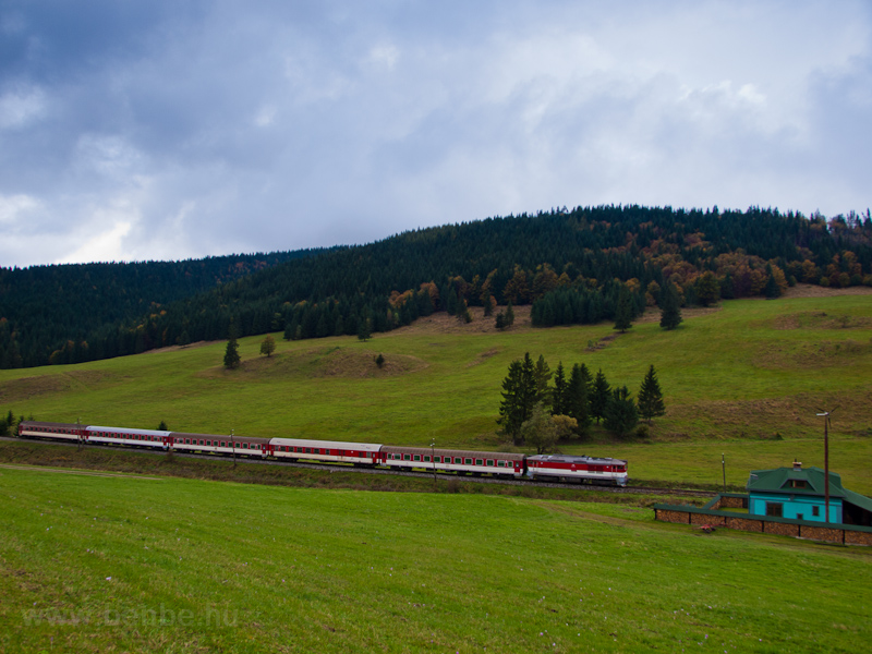Fast train Horehronec seen  picture