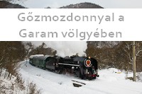 Steam locomotive in the Hron valley