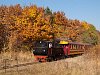 A Mtravast 490 2005 plyaszm, Gyngyi nevű gőzmozdonya Mtrafred als s Pipishegy kztt