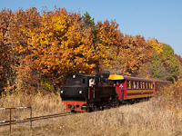 A Mtravast 490 2005 plyaszm, Gyngyi nevű gőzmozdonya Mtrafred als s Pipishegy kztt