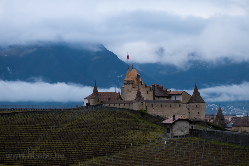 The castle of Aigle in all  picture