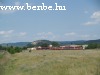 Desiro railcars at the delta-junction at Esztergom-Kertváros