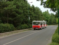 Busz