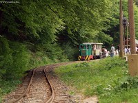 The forest railway begins with a little bend then it enters the deep forest