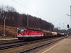 Az ÖBB 1144 284 pályaszámú villanymozdonya egy tehervonattal porol át Rekawinkel állomáson a Bécsi Erdőben