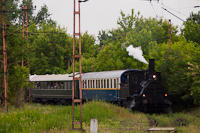The MÁV 220,194 steam locomotive at Rákosrendező