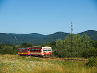 The Bzmot 310 near Diósjenő