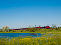 Railjet nagy sebességű vonat a bicskei időszakos tónál
