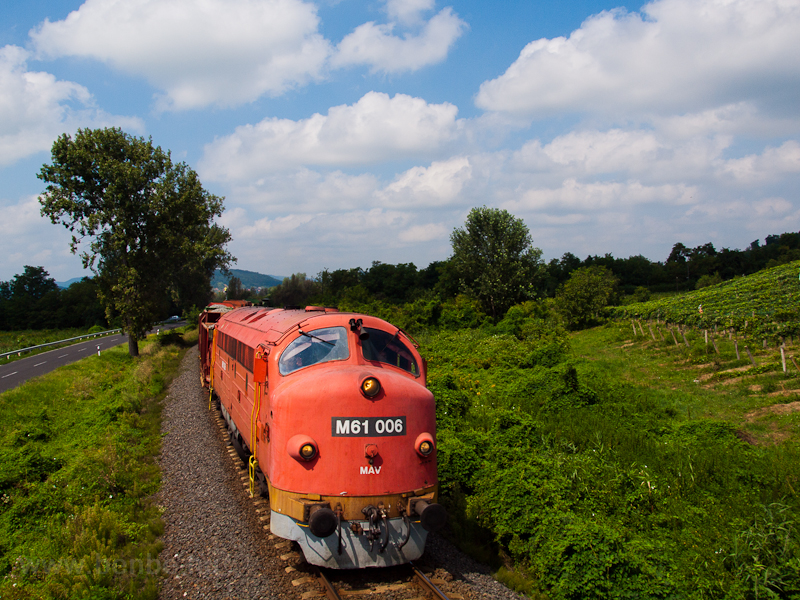 The M61 006 is seen hauling a freight train between Badacsonylábdihegy and Badacsony photo