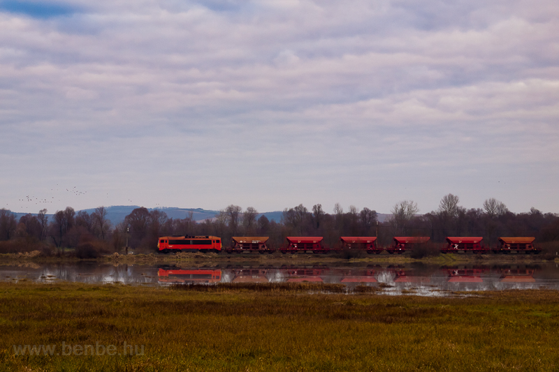 The MÁV-START 418 187 seen reflected in the inland inundation photo