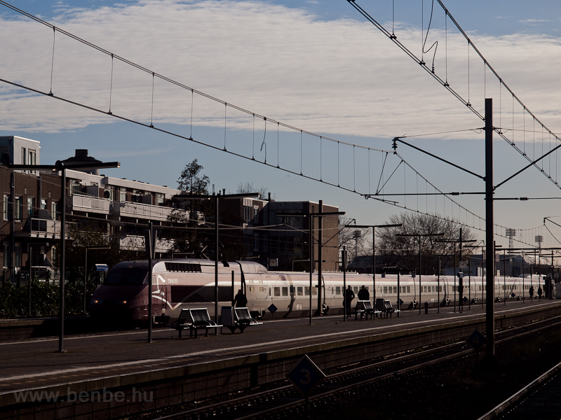 Thalys at  Rotterdam Zuid photo
