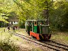 The Nagybrzsny Forest Railway