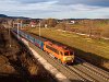 A MÁV-START 418 313 pályaszámú Csörgő Solymár és Üröm között a fölújított 2-es vasútvonalon
