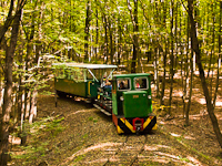 The Nagybörzsöny Forest Railway