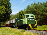 A photo charter with the Mk48 2015 on the Csömödér-Lenti narrow gauge forestry railway