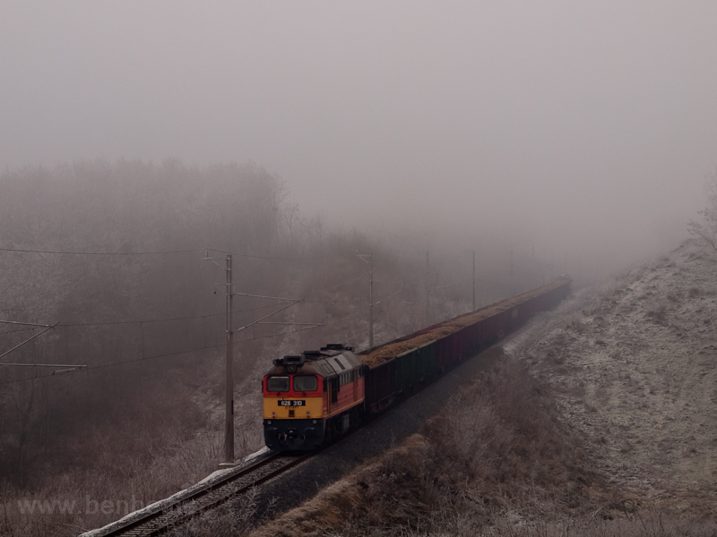 A MÁV-START 628 310 pályaszámú Remot-Szergej cukorrépa-szállító tehervonatot tol fölfelé az emelkedőn Vasvárról Pácsony felé a zúzmarás ködben fotó
