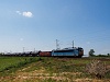 The 630 021 is seen hauling a freight train between Füzesabony and Szihalom