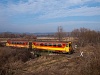 Bzmot railcars near Drégelypalánk
