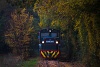 The Királyrét Forest Railway Mk48 2017 seen near Királyrét alsó
