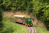 Transbörzsöny Forest Railway (Nagyírtás-Márianosztra)