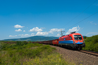 The RCH 1116 009-0 seen hauling an empty coal train between Visonta and Nagyút, on the line to the Mátra Power Plant