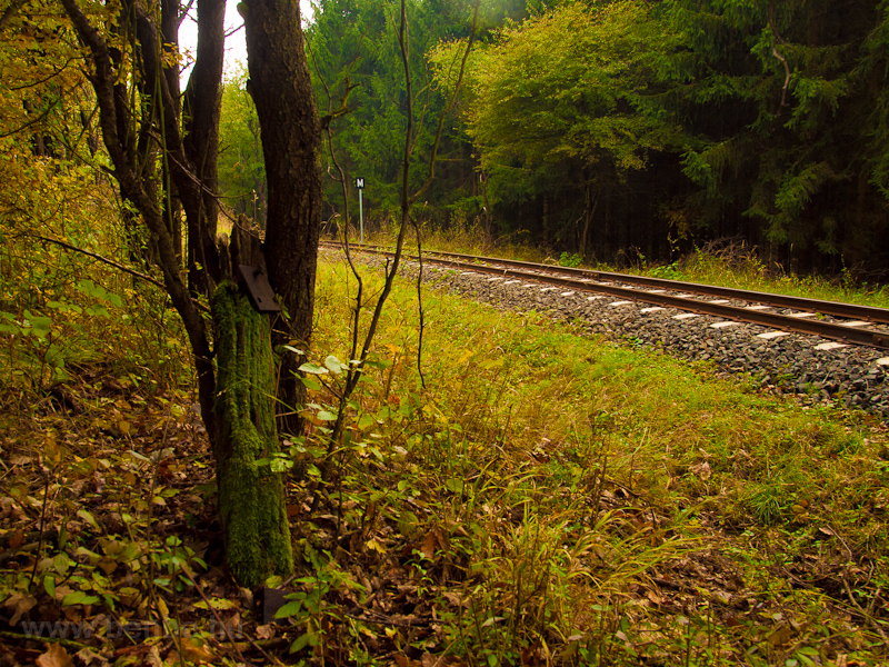 A régi vasút egy talpfája V fotó