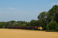 The GYSEV/Raaberbahn M40 402 with the Preymesser freight train between Neszmély and Süttő (somewhere near Várhegyalja stop)