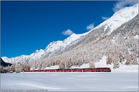 A Ge 4/4<sup>III</sup> in the snow-covered Val Bever with a Chur-Tirano <q>Bernina-Express</q>, not far from the exit of the Albulatunnel
