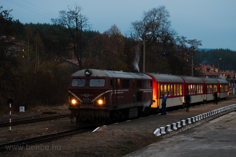 The BDŽ 75  005-9 seen picture