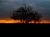 Sunset by Porcsalma-Tyukod