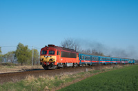 The MÁV-START 418 149 seen between Felsőpakony and Ócsa with a large diesel smoke