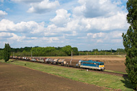 The MÁV-START 431 265 seen hauling a freight train between Taksony and Dunavarsány