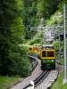 A Wengernalpbahn BDhe 4/8 131 Witimatte és Rohrfluh között