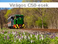C50 locomotives and flowers