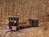 A Nagybörzsönyi Erdei Vasút C50 3737 Vetettfű és Füstös forrás között